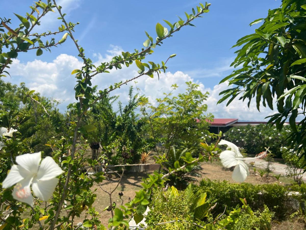 La Plumerias Moalboal Eksteriør billede